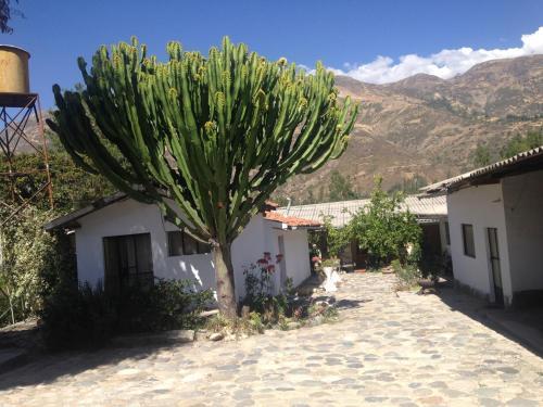 Bed & Breakfast Hospedaje Campestre Bertila