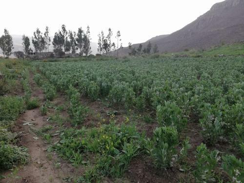 Agroturismo Wayra Wasi