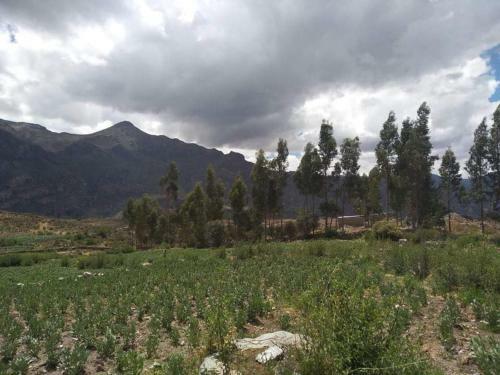 Agroturismo Wayra Wasi