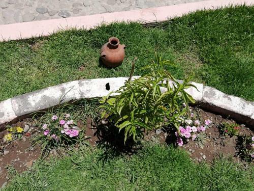 Agroturismo Wayra Wasi
