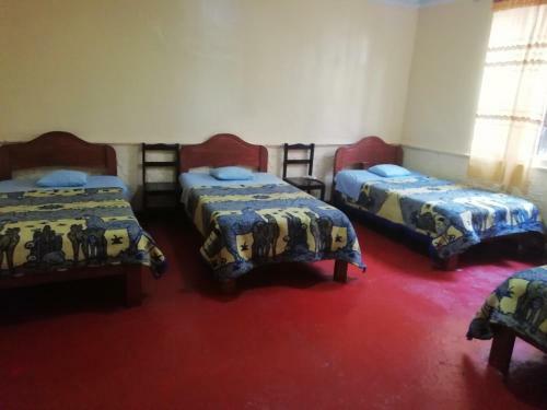 Albergue Auquis Ccapac Guest House