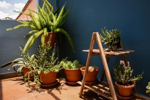 Cooper Hotel Boutique