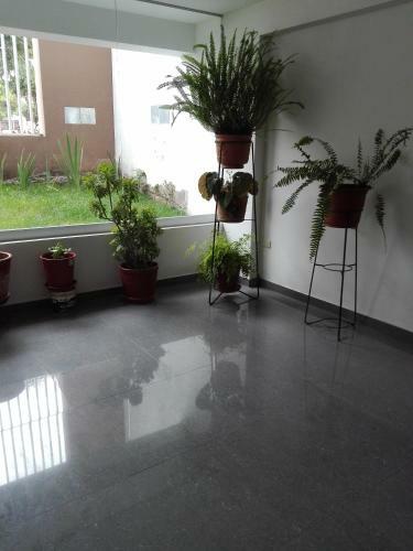 Bed & Breakfast Cuatro Gatos Privado