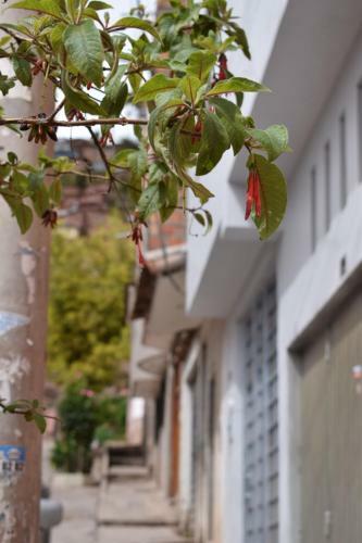 Apartamento Alojamiento Condor Kanqui