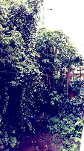 Apartamento Magic Place In Cusco Kn