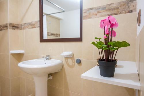 Delvalle Home Habitaciones Privadas