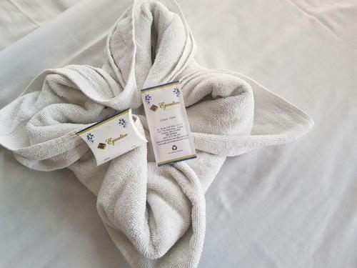 Hostal Ejecutivo Palace B & B