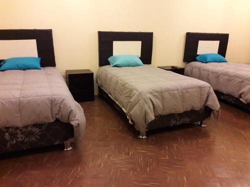 Hostal Tete's House
