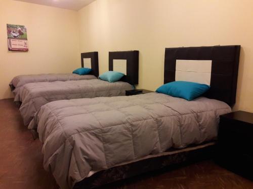 Hostal Tete's House