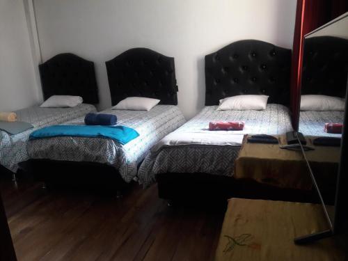 Hostal Tete's House