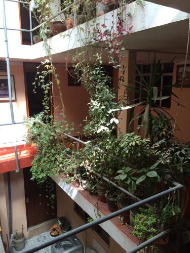 Hostal Florez II