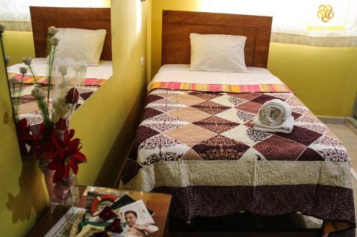 Hostal Spring II