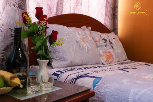 Hostal Spring II