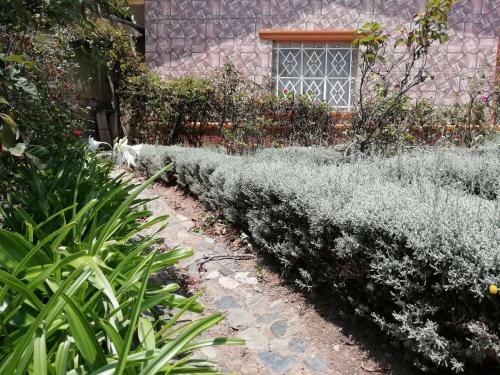 Bed & Breakfast Tere�s House
