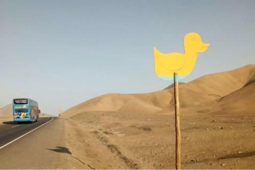Patitos