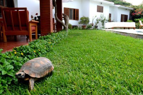 La Casa De Lu�s Y Victoria