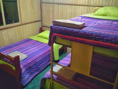 Rio Viejo Ecolodge & Camping