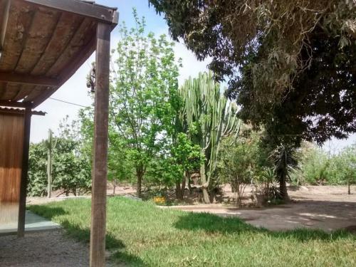Rio Viejo Ecolodge & Camping