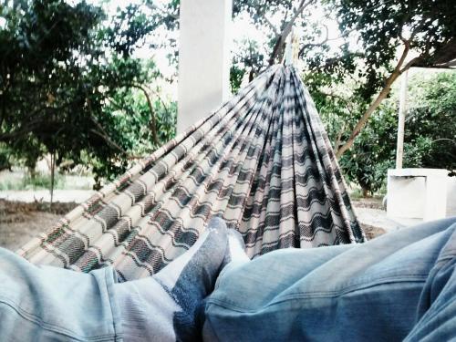 Rio Viejo Ecolodge & Camping