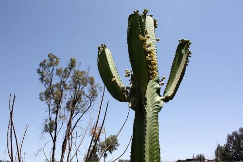 Rio Viejo Ecolodge & Camping
