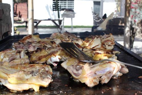 Rio Viejo Ecolodge & Camping