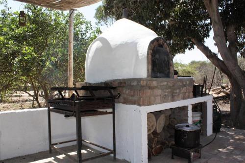 Rio Viejo Ecolodge & Camping