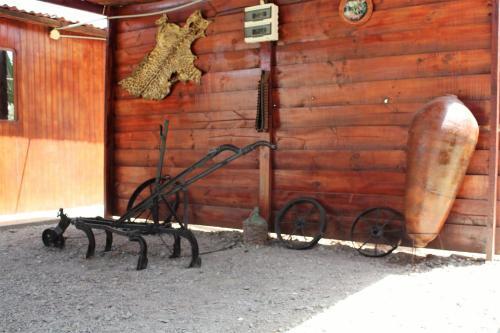 Rio Viejo Ecolodge & Camping