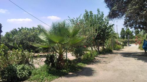 Rio Viejo Ecolodge & Camping