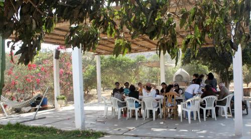 Rio Viejo Ecolodge & Camping