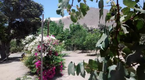 Rio Viejo Ecolodge & Camping