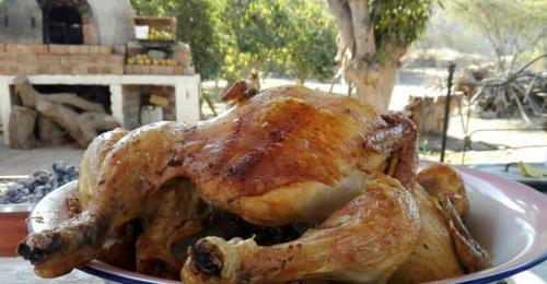Rio Viejo Ecolodge & Camping