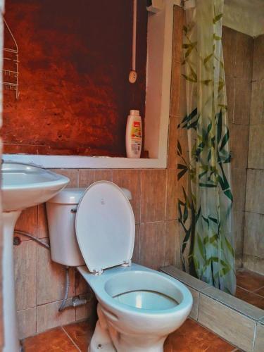 Rio Viejo Ecolodge & Camping