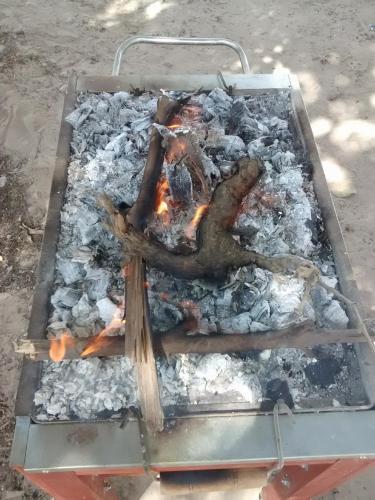 Rio Viejo Ecolodge & Camping