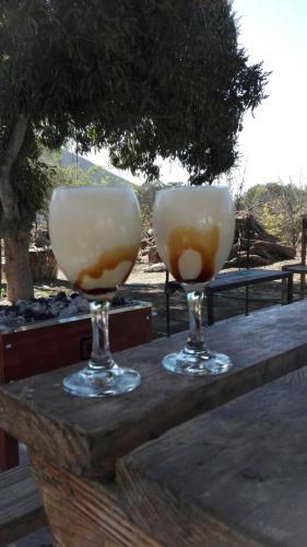 Rio Viejo Ecolodge & Camping
