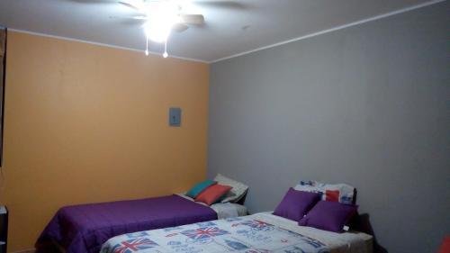 Albergue Basari