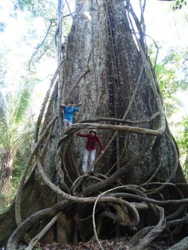Lodge Amazon Wonder Expeditions