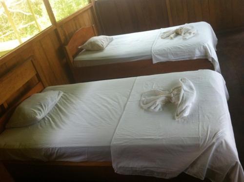 Albergue Yanayacu River Lodge