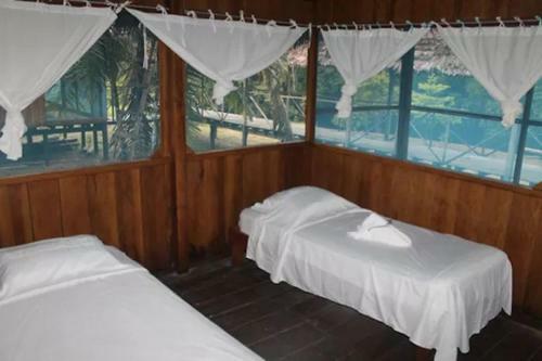 Albergue Wimba Jungle Lodge