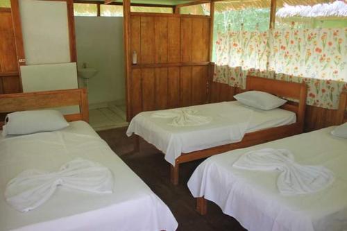Albergue Wimba Jungle Lodge