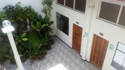 Amazon Green Hotel