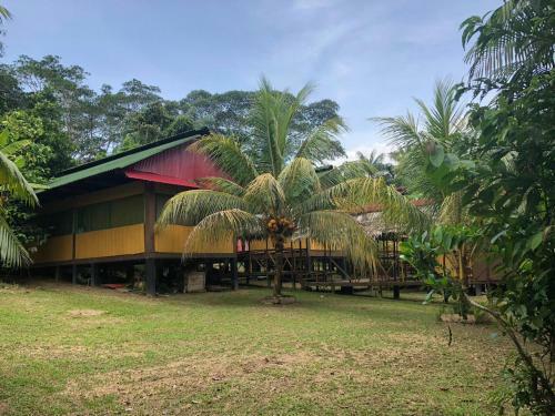 Albergue Ecoadventure Amazon Lodge