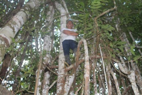 Albergue Green & Tambo Expedition