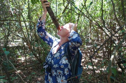 Jibaro Tours & Expeditions - Lodge