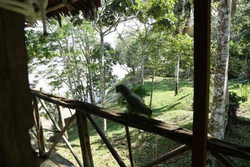 Lodge King Of Compassion Resorts