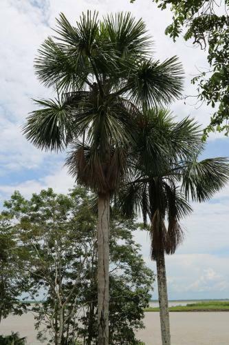 Lodge King Of Compassion Resorts