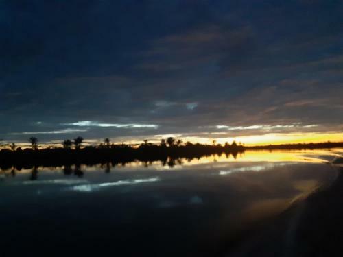 Lupuna Jungle Tours And Expeditions