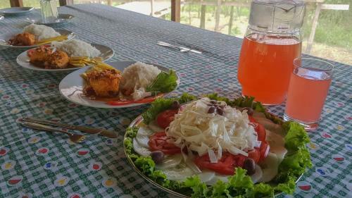 Lupuna Jungle Tours And Expeditions
