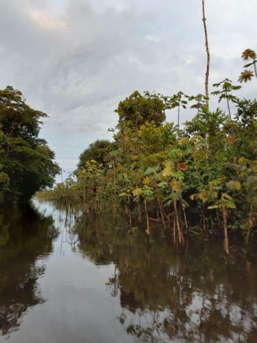 Lupuna Jungle Tours And Expeditions