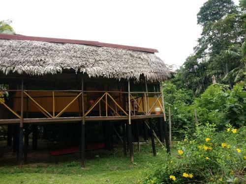 Lodge Amazon Hostal Tours