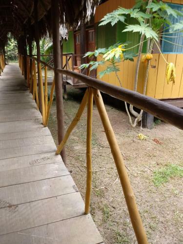Lodge Amazon Hostal Tours